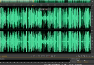 Sample image of a Sound Wave